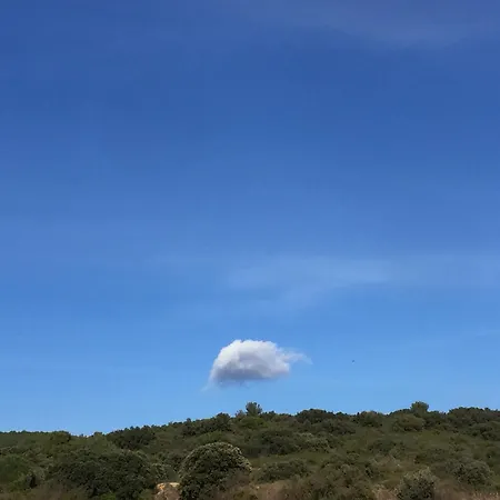 Buller En Toute Tranquillité, Avec Vue * Vendemian