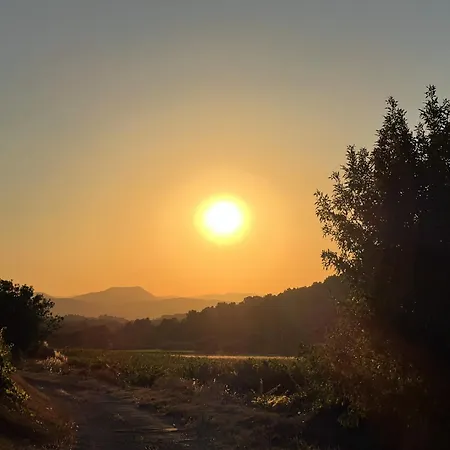 Buller En Toute Tranquillité, Avec Vue Vendemian