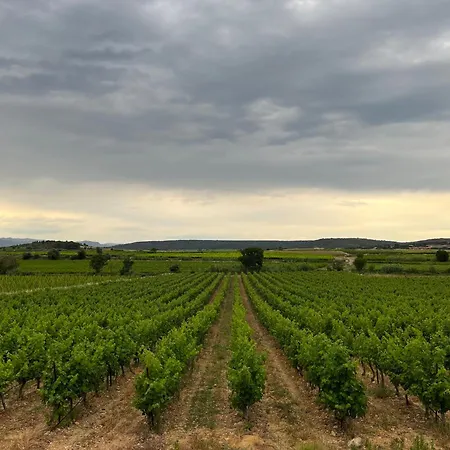 Appartement Buller En Toute Tranquillité, Avec Vue *